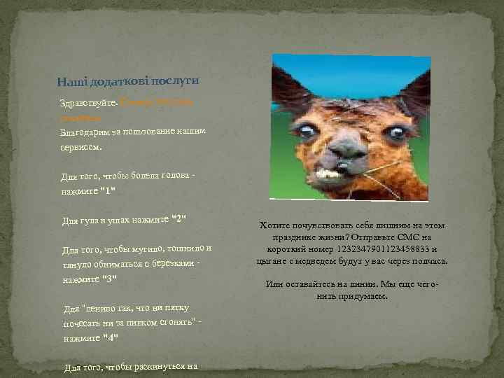 Наші додаткові послуги Здравствуйте. Служба доставки похмелья. Благодарим за пользование нашим сервисом. Для того,
