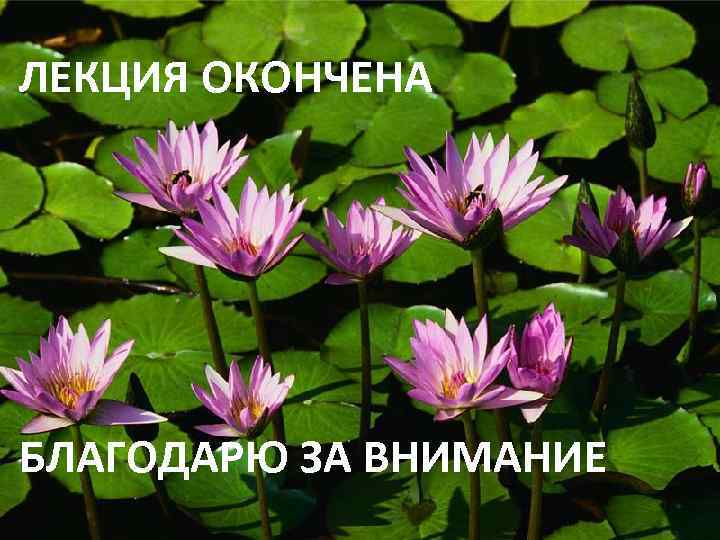 ЛЕКЦИЯ ОКОНЧЕНА БЛАГОДАРЮ ЗА ВНИМАНИЕ 