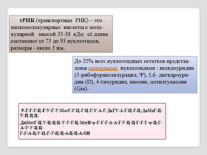  т. РНК (транспортные РНК) – это низкомолекулярные кислоты с молекулярной массой 23 -30