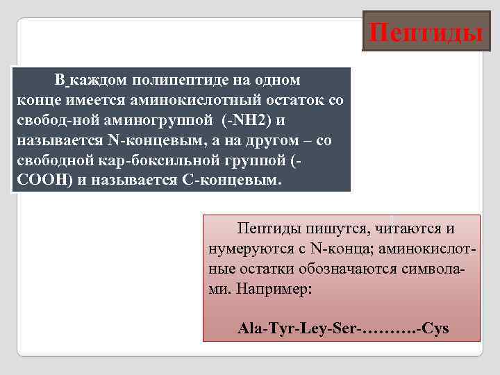 Пептиды В каждом полипептиде на одном конце имеется аминокислотный остаток со свобод-ной аминогруппой (-NH
