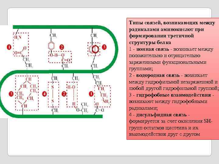 Третичная структура связи