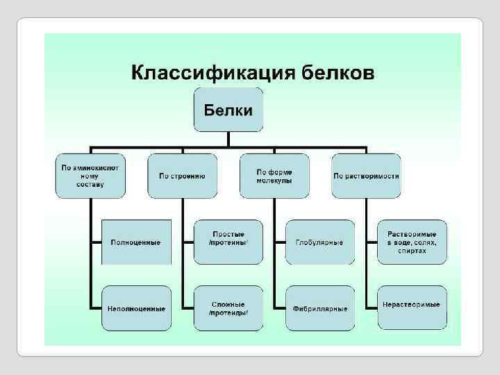 Классификация белков схема