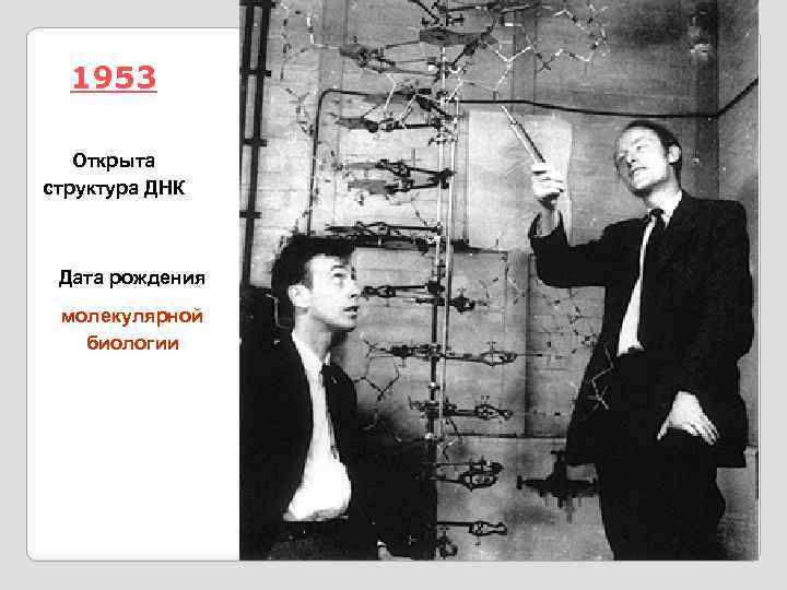 1953 Открыта структура ДНК Дата рождения молекулярной биологии 