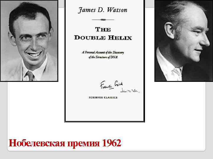 Нобелевская премия 1962 