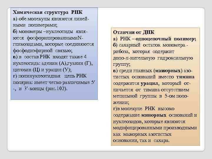 Химическая структура РНК а) обе молекулы являются линейными полимерами; б) мономеры –нуклеотиды являются фосфорилированными.