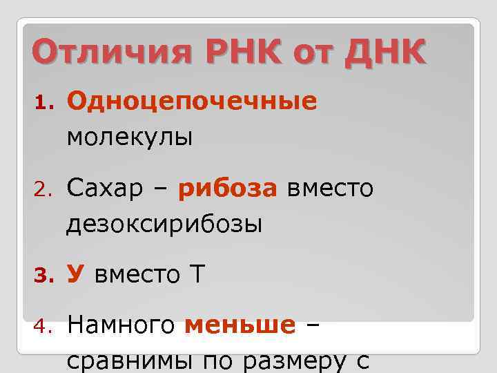 Отличия РНК от ДНК 1. Одноцепочечные молекулы 2. Сахар – рибоза вместо дезоксирибозы 3.