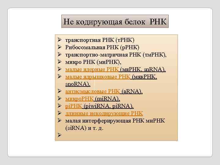 Не кодирующая белок РНК Ø Ø Ø транспортная РНК (т. РНК) Рибосомальная РНК (р.