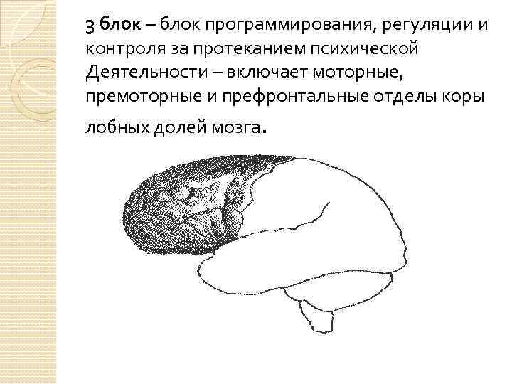 3 блок – блок программирования, регуляции и контроля за протеканием психической Деятельности – включает