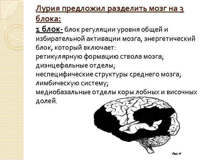 Блоки мозга. 1 Блок мозга по Лурия. Функции 3 блока мозга по Лурия. Основных функциональных блока мозга Лурия. Лурия блоки мозга таблица.