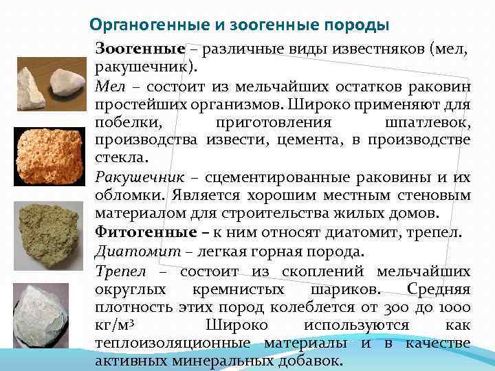 Органогенные и зоогенные породы Зоогенные – различные виды известняков (мел, ракушечник). Мел – состоит
