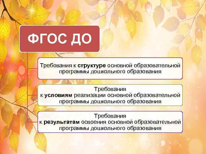 ФГОС ДО Требования к структуре основной образовательной программы дошкольного образования Требования к условиям реализации