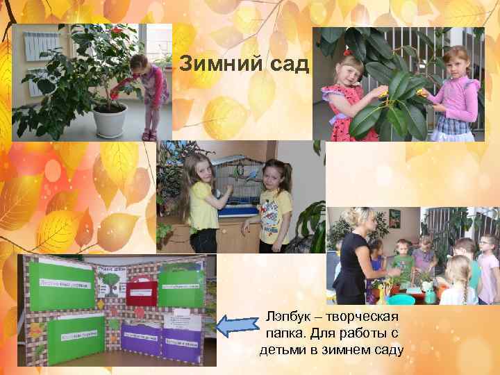 Зимний сад Лэпбук – творческая папка. Для работы с детьми в зимнем саду 