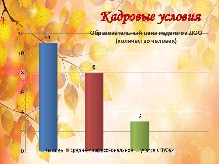 Кадровые условия 12 11 Образовательный ценз педагогов ДОО (количество человек) 10 8 8 6