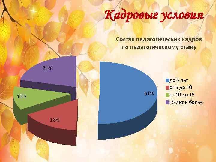 Кадровые условия Состав педагогических кадров по педагогическому стажу 21% 51% 12% 16% до 5