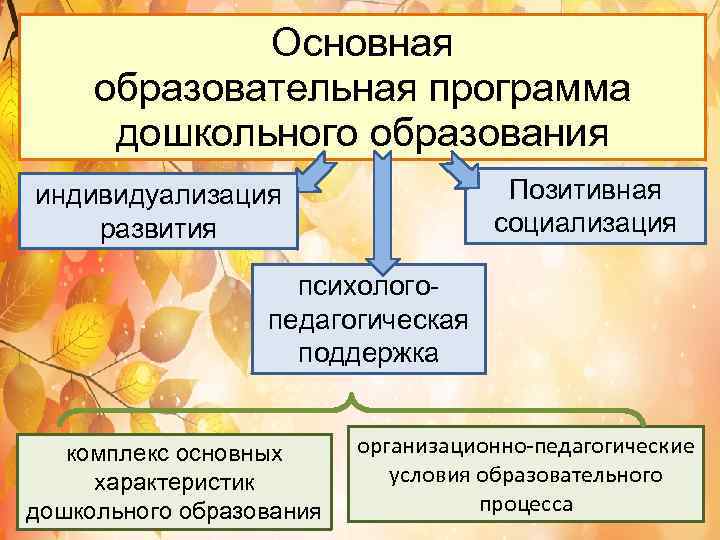 Основная образовательная программа дошкольного образования Позитивная социализация индивидуализация развития психологопедагогическая поддержка комплекс основных характеристик