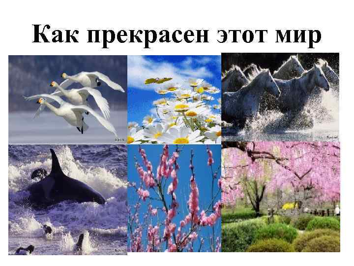 Как прекрасен этот мир 