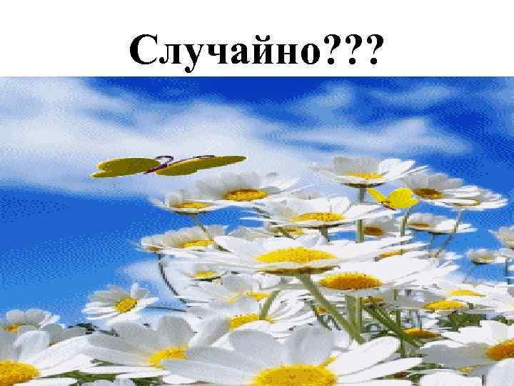 Случайно? ? ? 