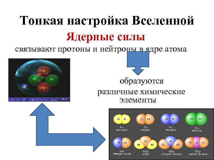 Тонкая настройка Вселенной Ядерные силы связывают протоны и нейтроны в ядре атома образуются различные