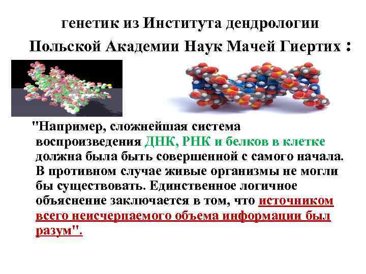 генетик из Института дендрологии Польской Академии Наук Мачей Гиертих : "Например, сложнейшая система воспроизведения