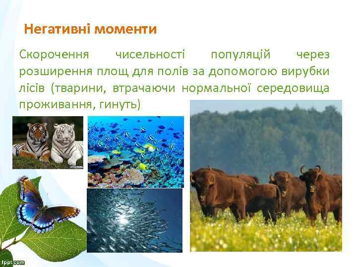 Негативні моменти Скорочення чисельності популяцій через розширення площ для полів за допомогою вирубки лісів