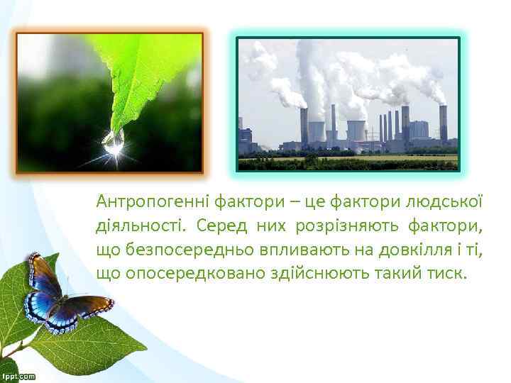 Антропогенні фактори – це фактори людської діяльності. Серед них розрізняють фактори, що безпосередньо впливають