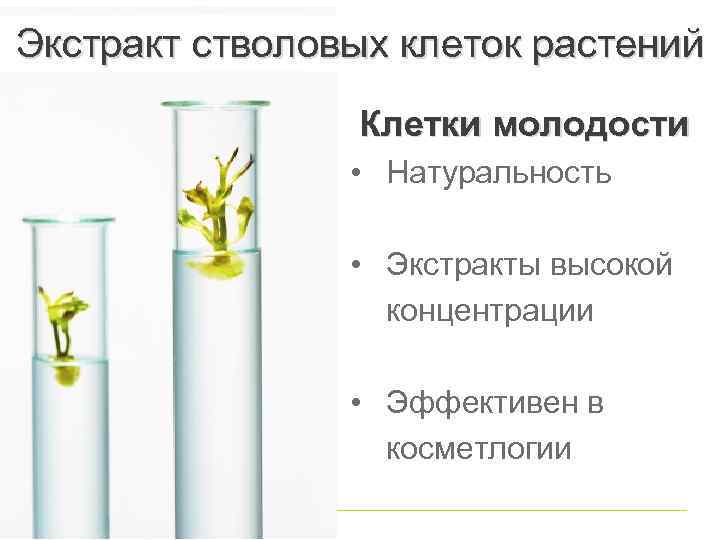 Экстракт стволовых клеток растений Клетки молодости • Натуральность • Экстракты высокой концентрации • Эффективен