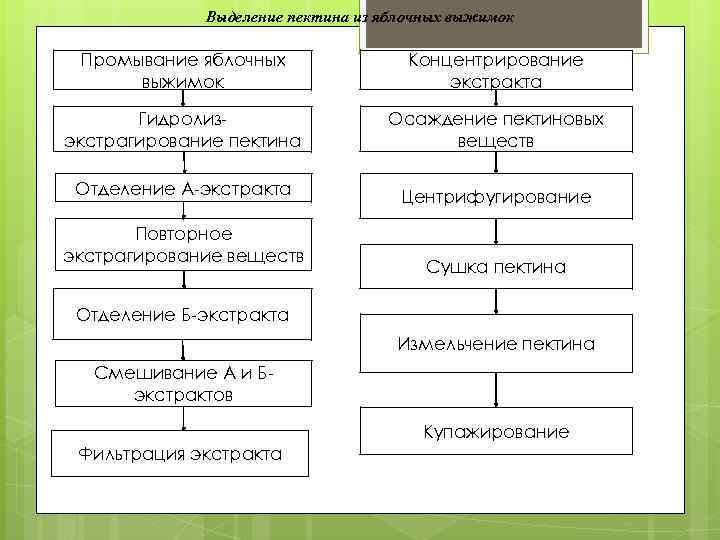 Производство пектина из яблок бизнес план