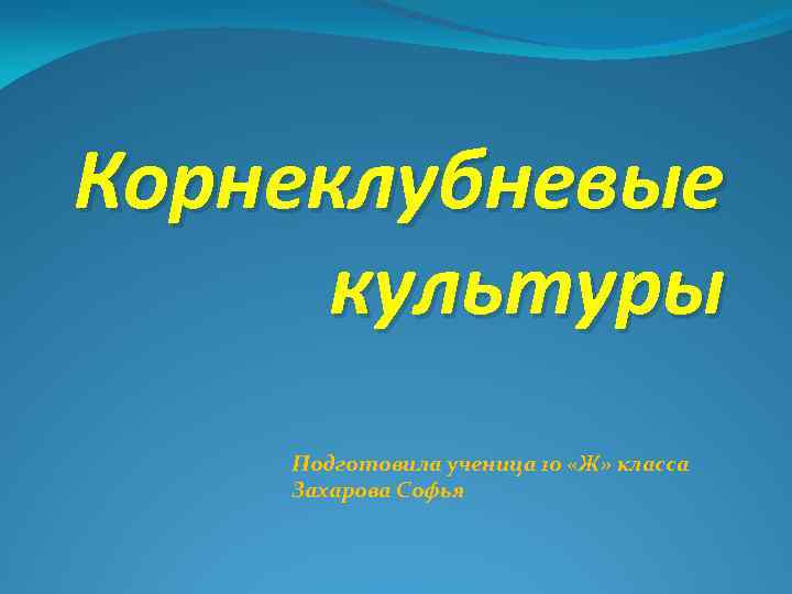 Корнеклубневые культуры Подготовила ученица 10 «Ж» класса Захарова Софья 