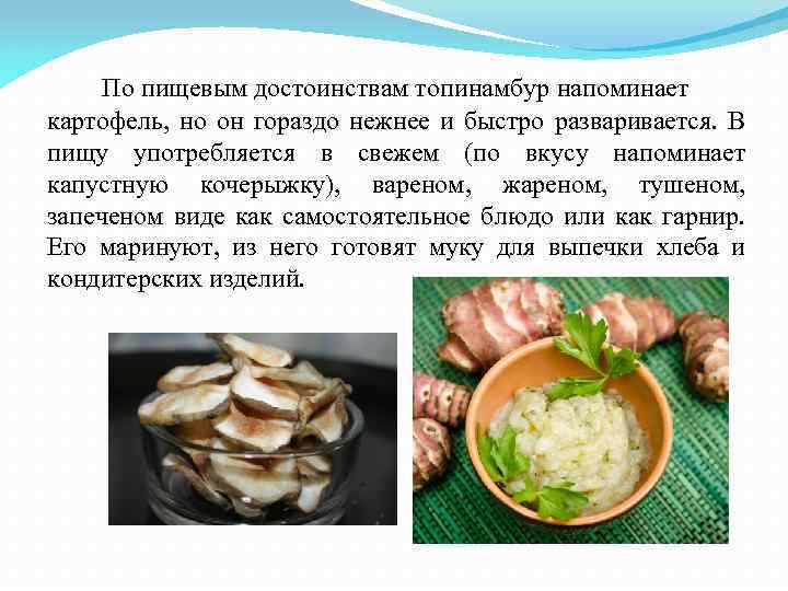 По пищевым достоинствам топинамбур напоминает картофель, но он гораздо нежнее и быстро разваривается. В