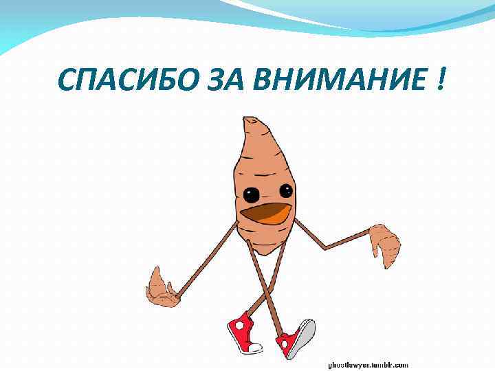 СПАСИБО ЗА ВНИМАНИЕ ! 