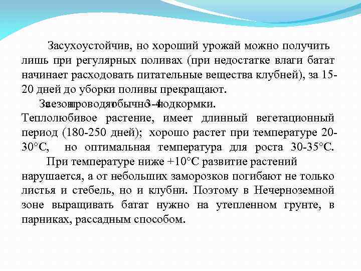  Засухоустойчив, но хороший урожай можно получить лишь при регулярных поливах (при недостатке влаги