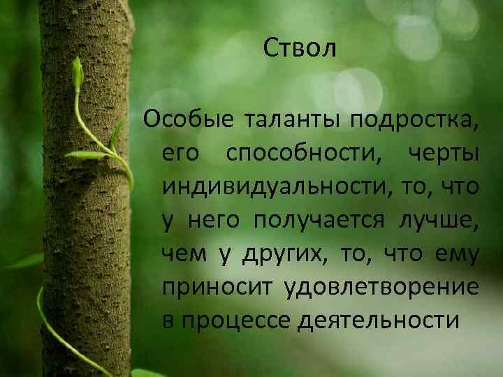  Ствол Особые таланты подростка, его способности, черты индивидуальности, то, что у него получается