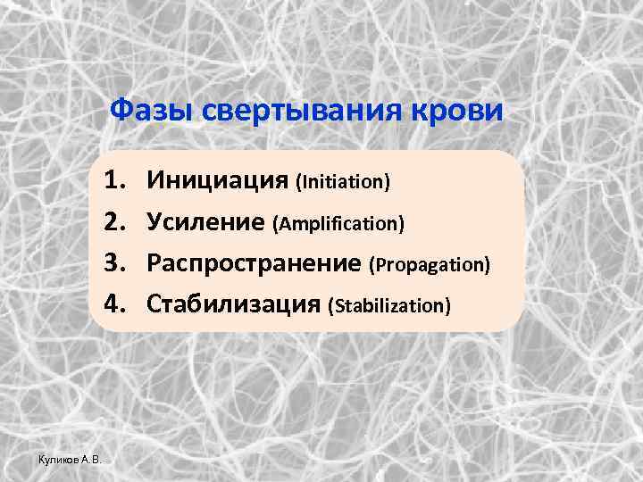 Фазы свертывания крови 1. 2. 3. 4. Куликов А. В. Инициация (Initiation) Усиление (Amplification)
