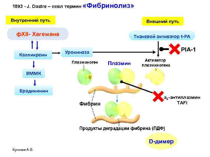 Схема фибринолиза физиология