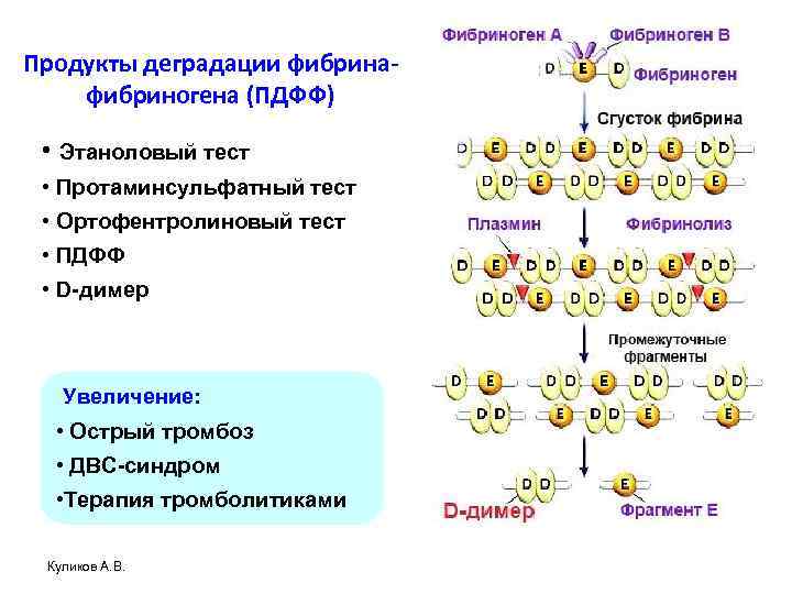 Продукты деградации фибринафибриногена (ПДФФ) • Этаноловый тест • Протаминсульфатный тест • Ортофентролиновый тест •