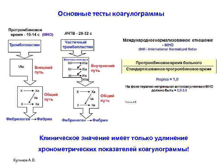 Основные тесты коагулограммы Клиническое значение имеет только удлинение хронометрических показателей коагулограммы! Куликов А. В.
