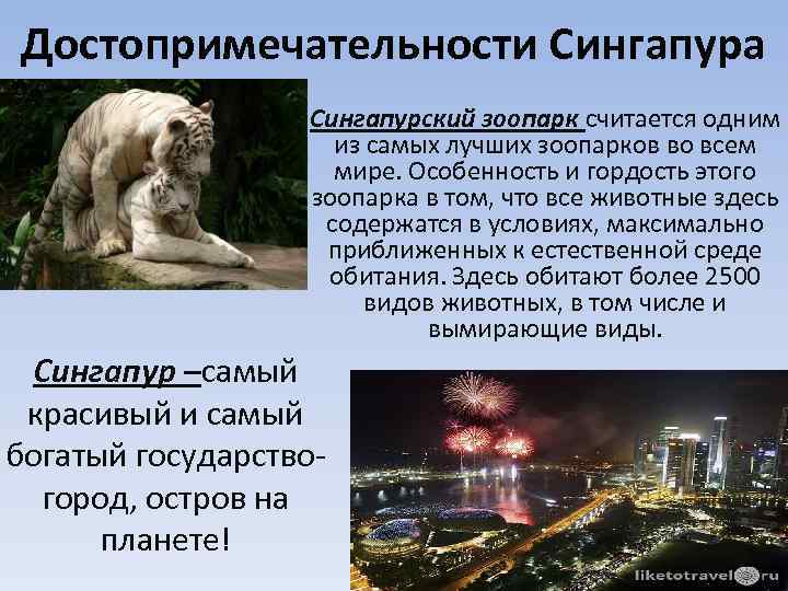 Достопримечательности Сингапура Сингапурский зоопарк считается одним из самых лучших зоопарков во всем мире. Особенность