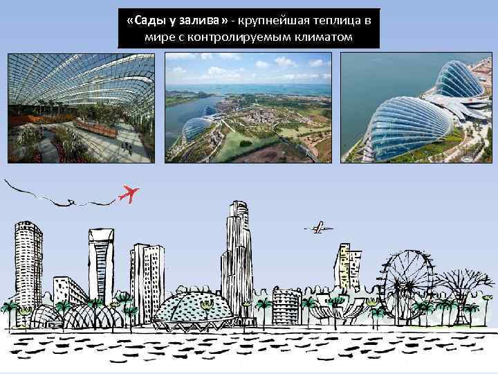  «Сады у залива» - крупнейшая теплица в мире с контролируемым климатом 