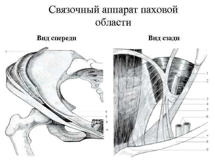 Стол при паховой грыже