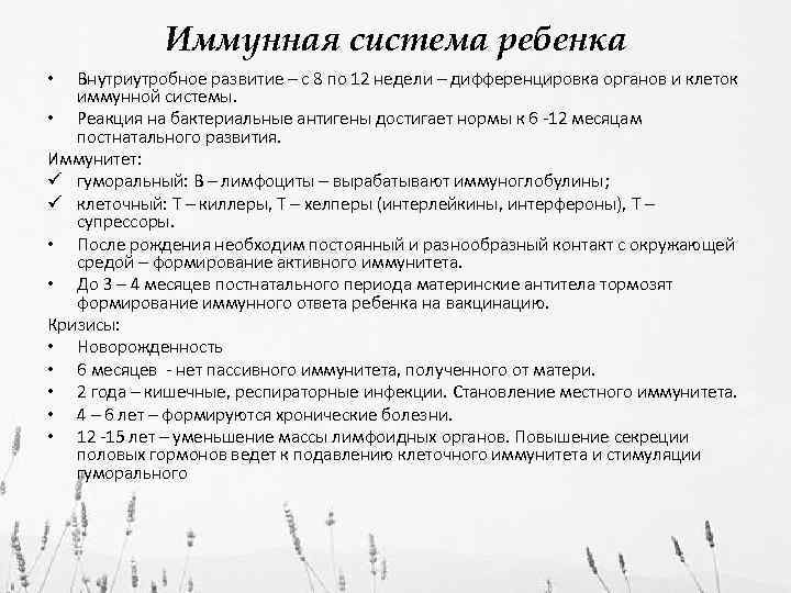 Иммунная система ребенка Внутриутробное развитие – с 8 по 12 недели – дифференцировка органов