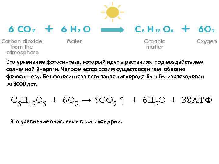 Это уравнение фотосинтеза, который идет в растениях под воздействием солнечной Энергии. Человечество своим существованием