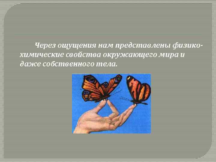 Через ощущения нам представлены физикохимические свойства окружающего мира и даже собственного тела. 
