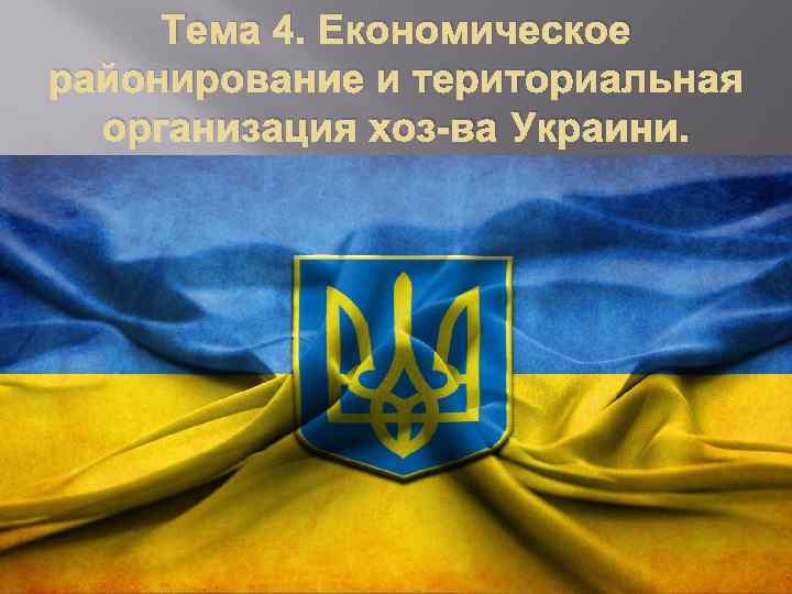 Тема 4. Економическое районирование и териториальная организация хоз-ва Украини. 