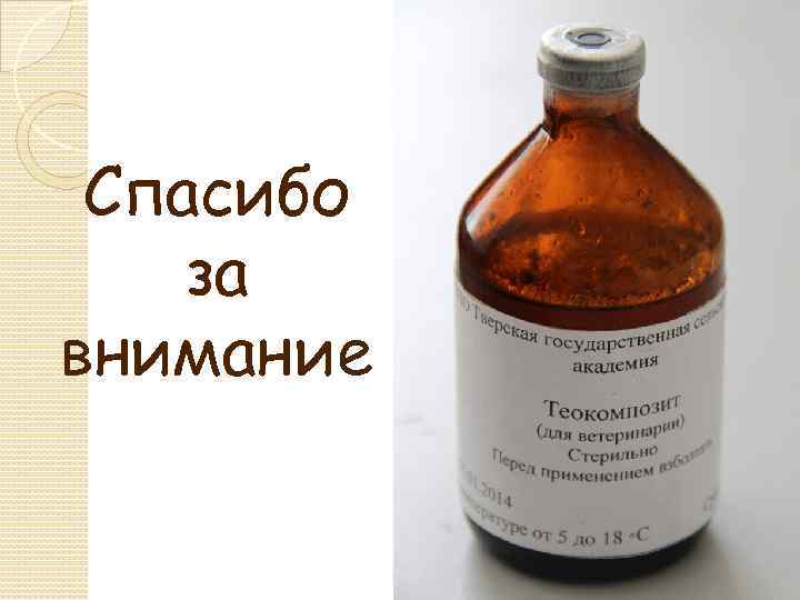 Спасибо за внимание 