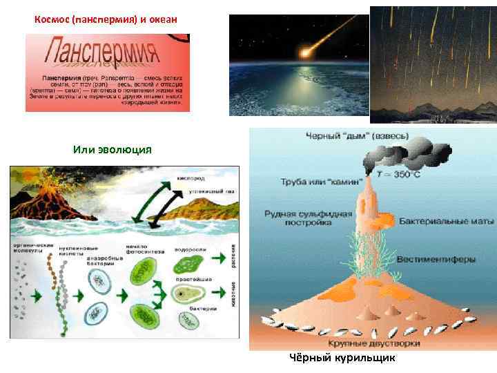 Космос (панспермия) и океан Или эволюция Чёрный курильщик 