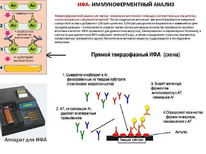 ИФА- ИММУНОФЕРМЕНТНЫЙ АНАЛИЗ Иммуноферментный анализ или метод – выявление антигенов с помощью соответствующих им