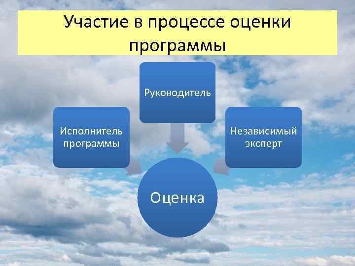 Участие в процессе оценки программы Руководитель Исполнитель программы Независимый эксперт Оценка 