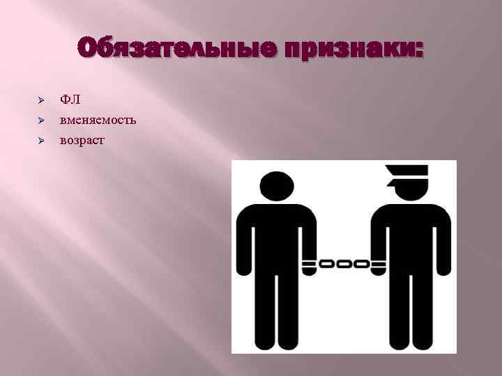 Обязательные признаки: Ø Ø Ø ФЛ вменяемость возраст 