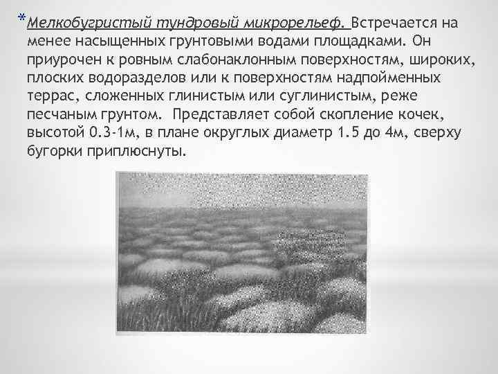 *Мелкобугристый тундровый микрорельеф. Встречается на менее насыщенных грунтовыми водами площадками. Он приурочен к ровным