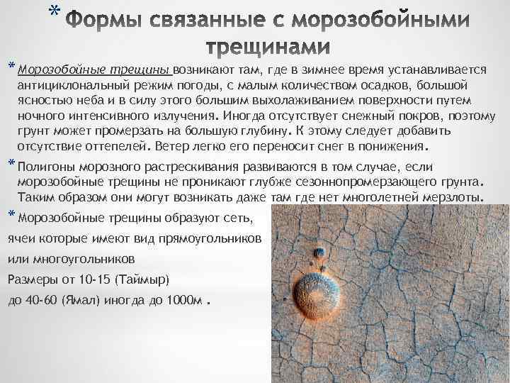 * * Морозобойные трещины возникают там, где в зимнее время устанавливается антициклональный режим погоды,